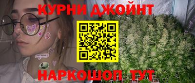 гашик Долгопрудный
