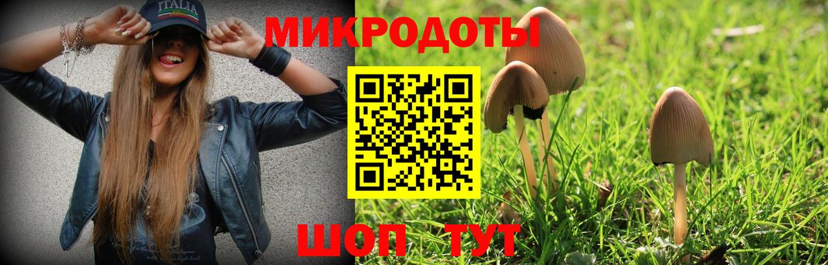 Псилоцибиновые грибы мицелий  Вход с VPN  Галлюциногенные грибы прущие грибы  Рославль 